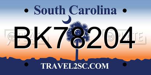 BK78204 South Carolina License Plate