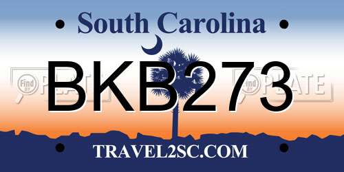 BKB273 South Carolina License Plate
