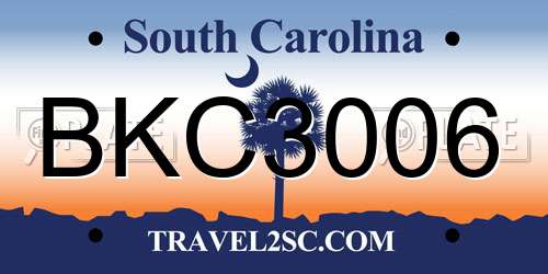 BKC3006 South Carolina License Plate