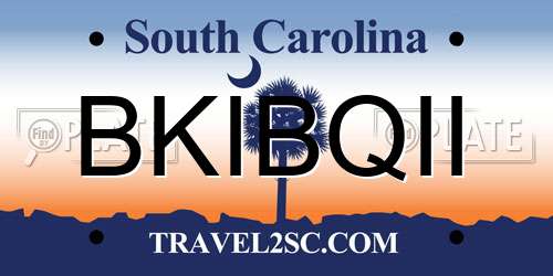 BKIBQII South Carolina License Plate