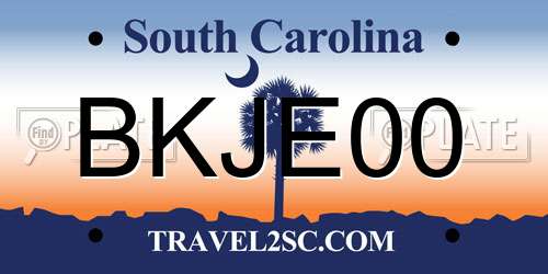 BKJE00 South Carolina License Plate