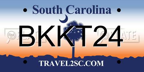 BKKT24 South Carolina License Plate