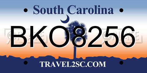 BKO8256 South Carolina License Plate