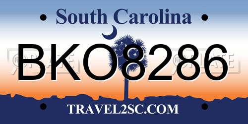 BKO8286 South Carolina License Plate