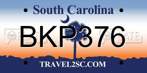 BKP376 South Carolina License Plate