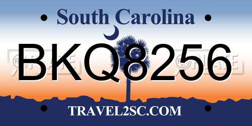 BKQ8256 South Carolina License Plate