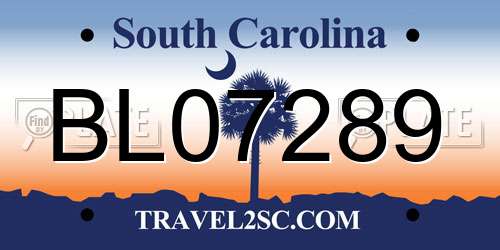 BL07289 South Carolina License Plate