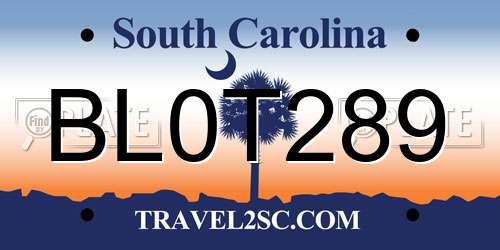 BL0T289 South Carolina License Plate