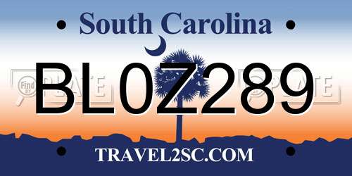 BL0Z289 South Carolina License Plate