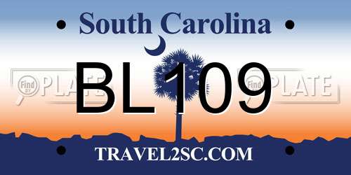 BL109 South Carolina License Plate