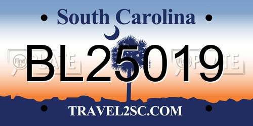 BL25019 South Carolina License Plate
