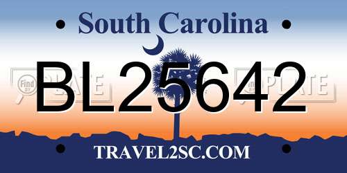 BL25642 South Carolina License Plate