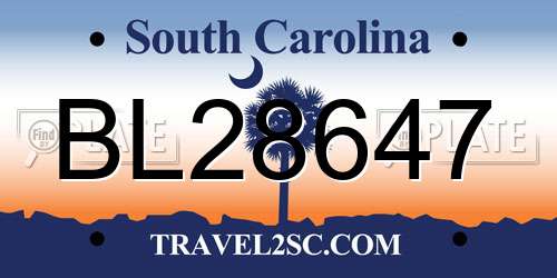 BL28647 South Carolina License Plate