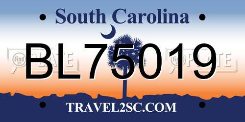 BL75019 South Carolina License Plate