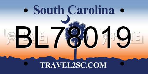 BL78019 South Carolina License Plate