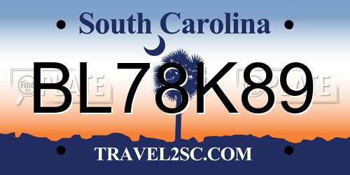 BL78K89 South Carolina License Plate