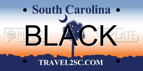 BLACK South Carolina License Plate