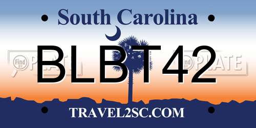 BLBT42 South Carolina License Plate