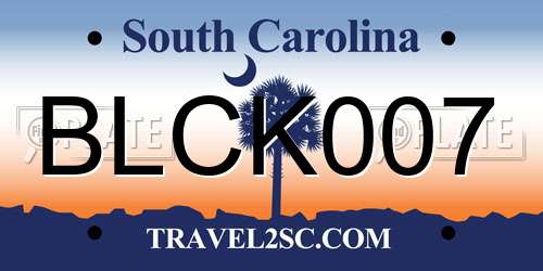 BLCK007 South Carolina License Plate