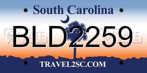 BLD2259 South Carolina License Plate