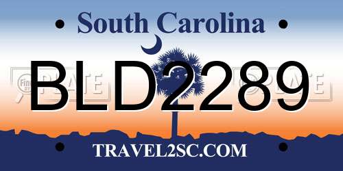 BLD2289 South Carolina License Plate