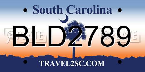 BLD2789 South Carolina License Plate