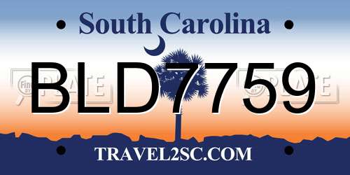 BLD7759 South Carolina License Plate