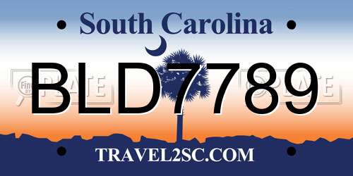BLD7789 South Carolina License Plate