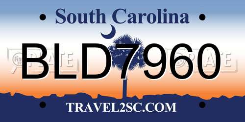 BLD7960 South Carolina License Plate