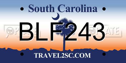BLF243 South Carolina License Plate