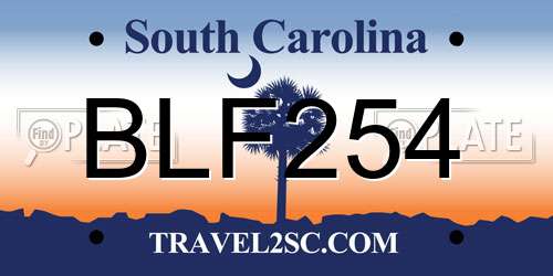 BLF254 South Carolina License Plate