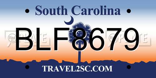 BLF8679 South Carolina License Plate