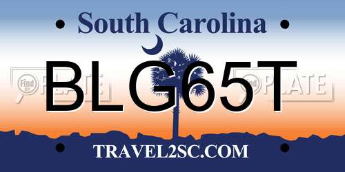 BLG65T South Carolina License Plate