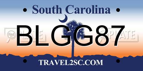 BLGG87 South Carolina License Plate