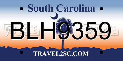BLH9359 South Carolina License Plate