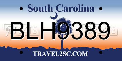 BLH9389 South Carolina License Plate