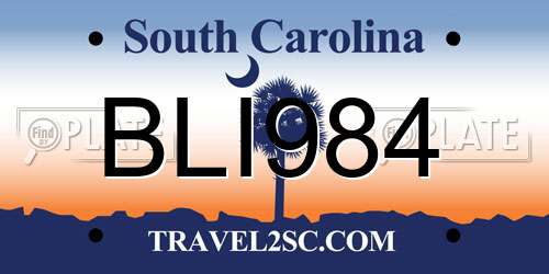 BLI984 South Carolina License Plate