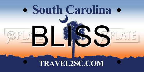 BLISS South Carolina License Plate