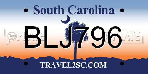 BLJ796 South Carolina License Plate