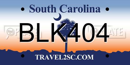 BLK404 South Carolina License Plate