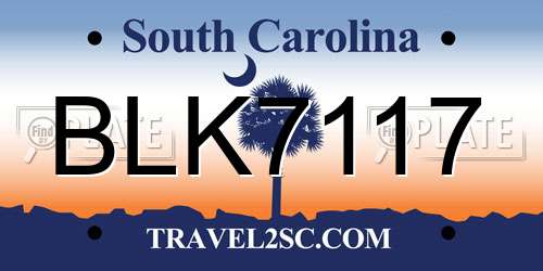 BLK7117 South Carolina License Plate