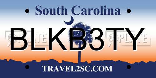 BLKB3TY South Carolina License Plate