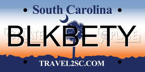 BLKBETY South Carolina License Plate