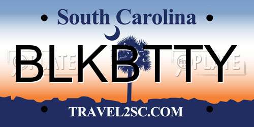 BLKBTTY South Carolina License Plate