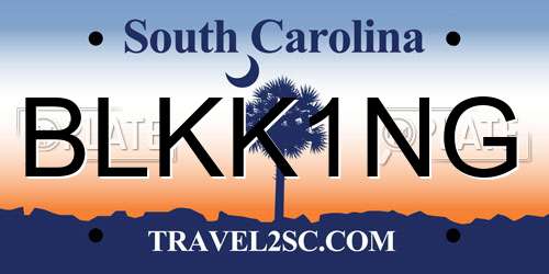 BLKK1NG South Carolina License Plate