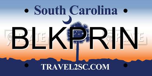 BLKPRIN South Carolina License Plate