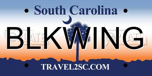 BLKWING South Carolina License Plate