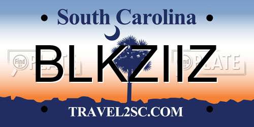 BLKZIIZ South Carolina License Plate