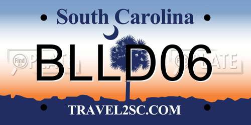 BLLD06 South Carolina License Plate