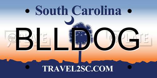 BLLDOG South Carolina License Plate